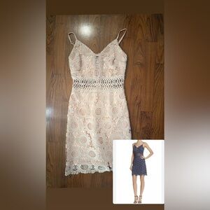 Aqua Cream Floral Lace Midi Dress